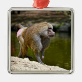 Hamadryas baboon loopt over de grond metalen ornament (Voorkant)