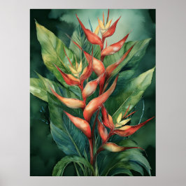 Hamakua Heliconia-Poster Poster