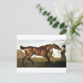 Hambletonian door George Stubbs Briefkaart (Staand voorkant)