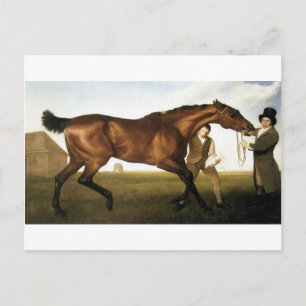 Hambletonian door George Stubbs Briefkaart