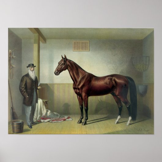 Hambletonian van Rysdyk - 1876 Poster (Voorkant)