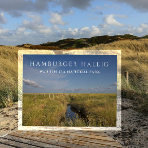 Hamburger Hallig, Wadden Zee, Duitsland Briefkaart