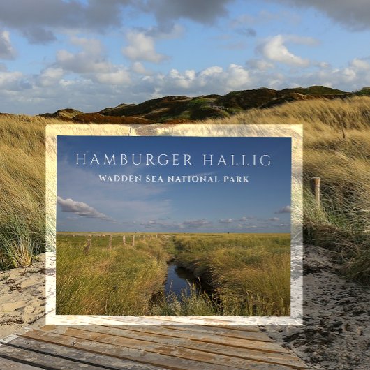 Hamburger Hallig, Wadden Zee, Duitsland Briefkaart