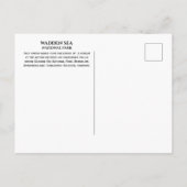 Hamburger Hallig, Wadden Zee, Duitsland Briefkaart (Achterkant)