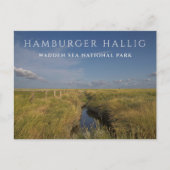 Hamburger Hallig, Wadden Zee, Duitsland Briefkaart (Voorkant)