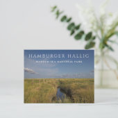Hamburger Hallig, Wadden Zee, Duitsland Briefkaart (Staand voorkant)