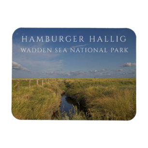 Hamburger Hallig, Wadden Zee, Duitsland Magneet