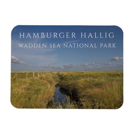 Hamburger Hallig, Wadden Zee, Duitsland Magneet (Horizontaal)