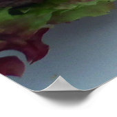 Hamburger Poster (Hoek)