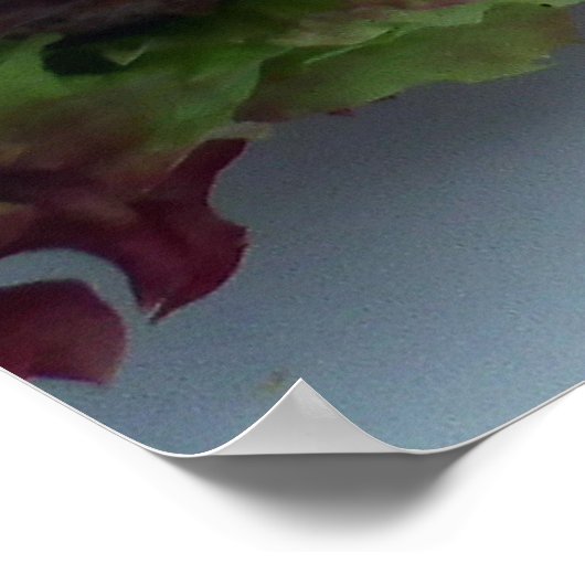 Hamburger Poster (Hoek)