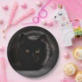 HAMbWG - Aangepaste Borden voor papier van 9 inch Papieren Bordje (Feest)