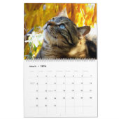 HAMbWG - Bright kattenkalender Kalender (Mar 2026)