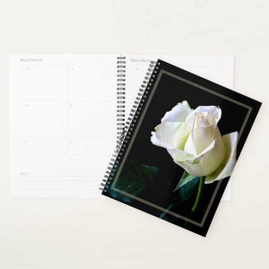 HAMbWG - Dagelijkse planner - Witte Roos (Display)