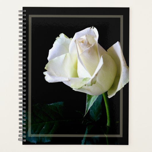 HAMbWG - Dagelijkse planner - Witte Roos (Voorkant)