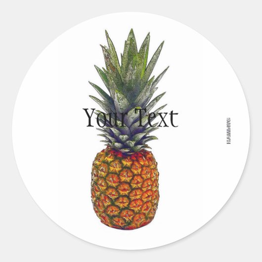 HAMbWG de Stickers van de Ananas - met de Doos van (Voorkant)
