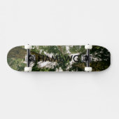 HAMbWG Dsgn - Hard Maple Skateboard - bos (Horizontaal)