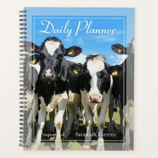 HAMbWG - Foto dagelijkse planner - Koeien kudde (Voorkant)