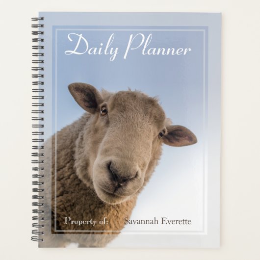 HAMbWG - Foto dagelijkse planner - Schaap (Voorkant)