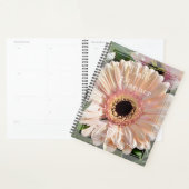 HAMbWG - Foto Daily Planner - Gerber Daisy (Display)