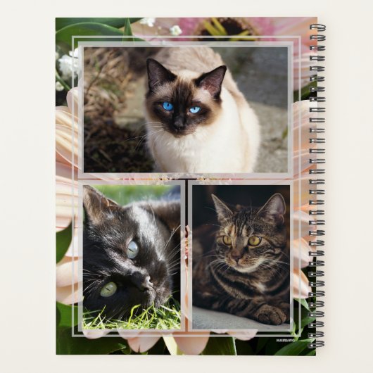 HAMbWG - Foto Daily Planner - Gerber Daisy (Achterkant)