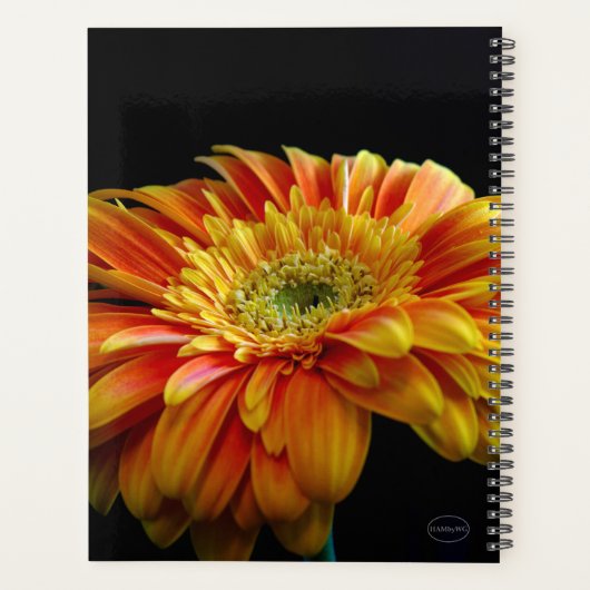 HAMbWG - Geel Oranje Gerber Daisy Planner (Achterkant)