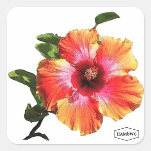 HAMbWG Hibiscus Flower Vierkante Sticker