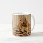 HAMbWG - Mok eekhoorn (Voorkant rechts)