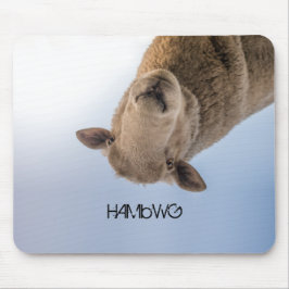 HAMbWG - Muismat - Sheeple