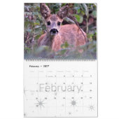 HAMbWG Natuur & Wilde Leven - Kalender (Feb 2027)