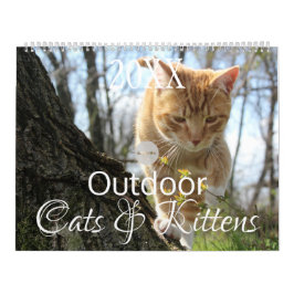 HAMbWG Outdoor Katten & Kittens Kalender