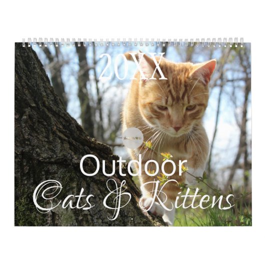 HAMbWG Outdoor Katten & Kittens Kalender (Hoes)