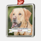 HAMbWG - Pet Ornament - Geheugen in geheugen van (Links)