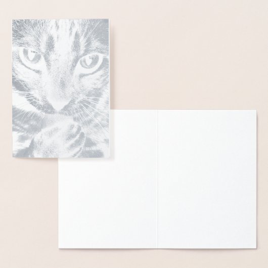 HAMbWG - Silver Foil Kaart - Kat (Display)
