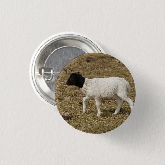 HAMbWG - Square Button - Black Head Sheep (Voorkant /achterkant)