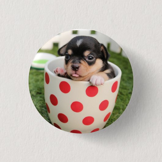 HAMbWG - Square Button - Teacup Puppy (Voorkant)