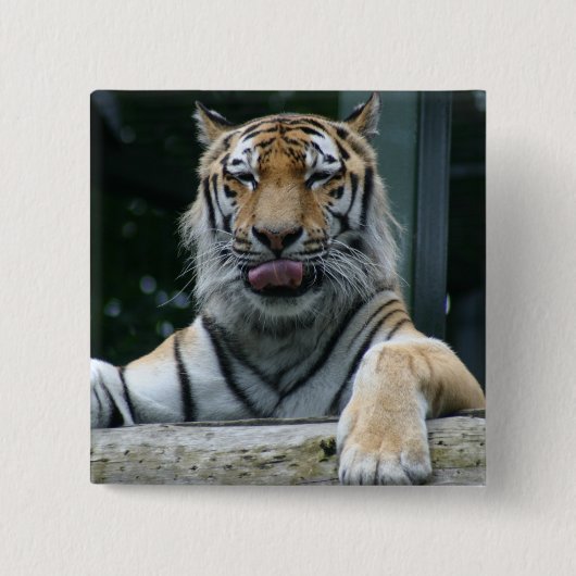 HAMbWG - Square Button - Tiger (Voorkant)