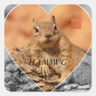 HAMbWG - Stickers - eekhoorn G/B - Harde Logo