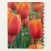 HAMbWG - Tulpen Planner (Achterkant)