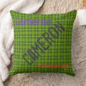 HAMbWG Vanity Pillow - Voeg jouw naam toe - Groen Kussen (Deken)