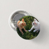HAMbWG - Vierkante knop - 2 katten Ronde Button 3,2 Cm (Voorkant /achterkant)