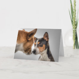 HAMbWG - Wenskaart - 2 honden Kaart