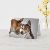 HAMbWG - Wenskaart - 2 honden Kaart (Gele Bloem)