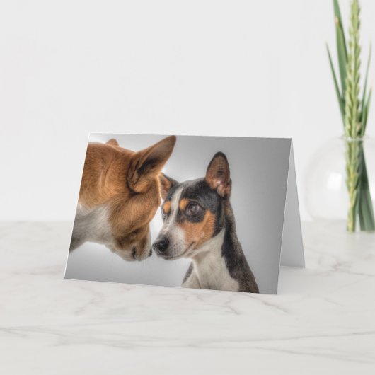 HAMbWG - Wenskaart - 2 honden Kaart (Voorkant)