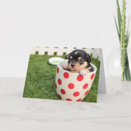 HAMbWG - Wenskaart - TeaCup Puppy Kaart