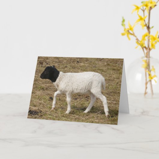 HAMbWG-Wenskaarten - zwart/wit Kaart (Gele Bloem)