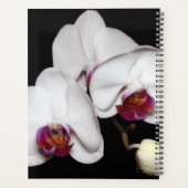 HAMbWG - White Orchid Flowers Planner (Achterkant)