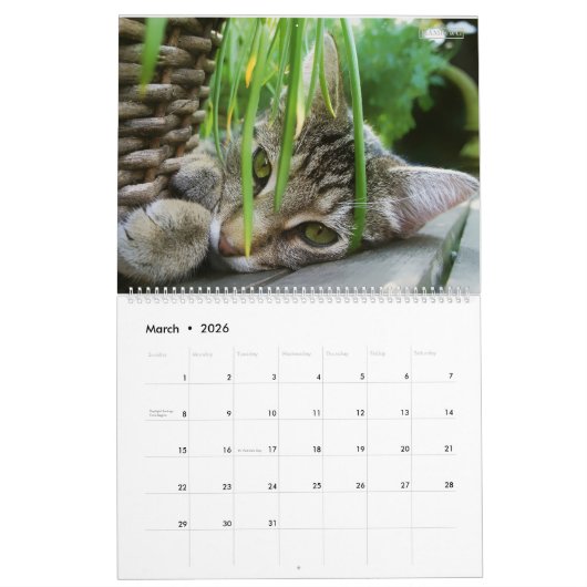 HAMbyWG 2020 Kat-Katten Kalender (Mar 2026)