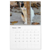 HAMbyWG 2020 Kat-Katten Kalender (Feb 2026)