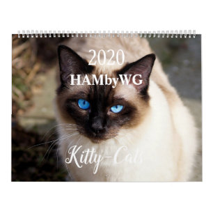HAMbyWG 2020 Kat-Katten Kalender