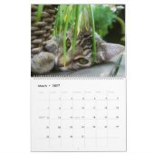 HAMbyWG 2020 Kat-Katten Kalender (Mar 2027)